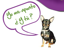 Perrotón, una carrera solidaria en pareja (perros/humanos) para fomentar la adopción y posesión responsable de animales de compañía en Madrid.