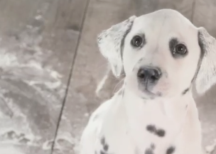 MANCHAS ADORABLES, PERO NO EN TU PIEL (anti manchas de Garnier)