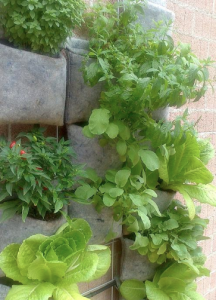 Captura de pantalla 2013-04-13 a la(s) 23.57.59