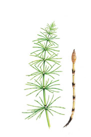 Captura de pantalla 2015-10-18 a la(s) 22.10.31