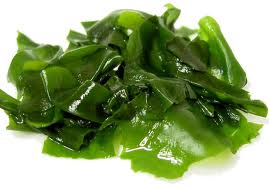 Algas: Verduras del mar para adelgazar