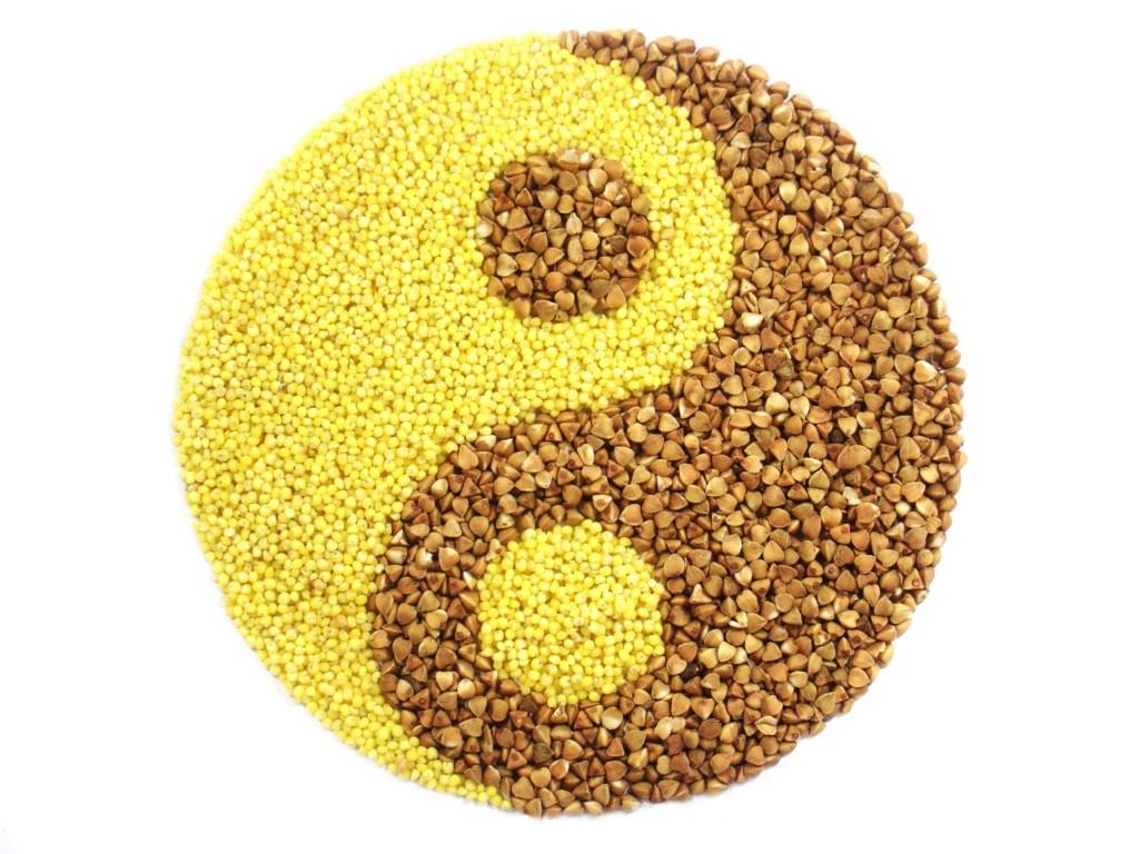 Introducción en la cocina macrobiótica saludable de otoño