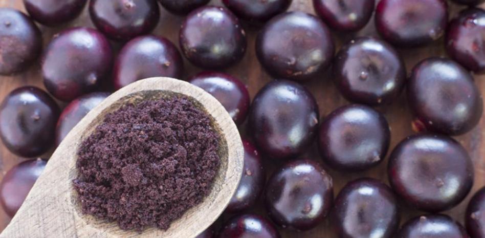Bayas de acaí, una buena fuente de nutrientes y antioxidantes
