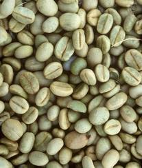El café verde: ¿Antioxidante y/o adelgazante?