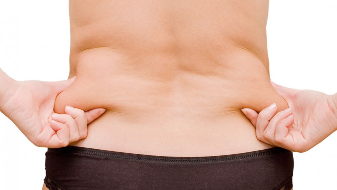 Chitosán: fibra natural para absorber grasas de la #dieta