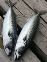 d34 Coenzima Q10, para aumentar la energía y tolerancia al ejercicio físico