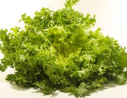 Ensalada de invierno: escarola con salsa de mostaza y miel