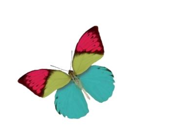 ¿Cuál es vuestro nivel de estrés? Cómo gestionarlo 2 estres2