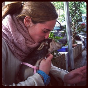 Día del perro sin raza: Tú eres único, tu perro también 2 Con nuestra chiqui, una linda perrita ¿sin raza? pero con mucho amor...