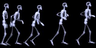 Preservar la salud de los huesos desde la infancia a la vejez