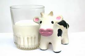 Intolerancia o alergia a la lactosa de la leche