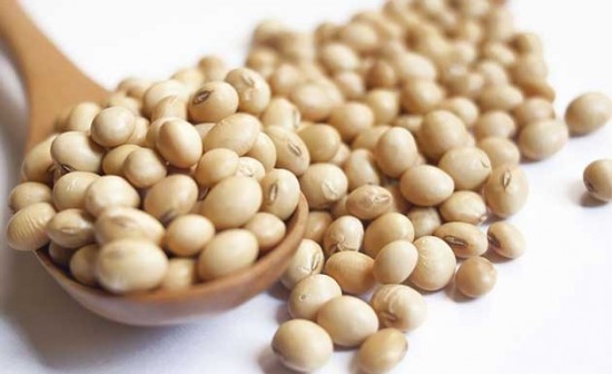 Lecitina de soja, colina e inositol, grasas y cerebro