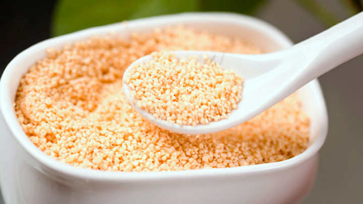 Lecitina de soja, colina e inositol, grasas y cerebro