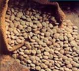 La lentejas: proteínas vegetales, saludables y digestivas