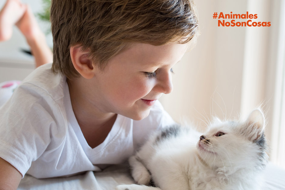 Día Mundial de los animales: #AnimalesNoSonCosas