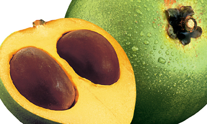 lucuma 2