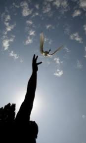 Un homenaje a nuestros seres queridos fallecidos