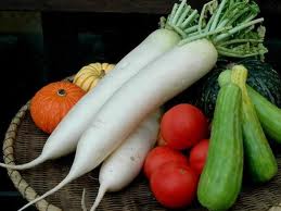 p1 Alimentos prebióticos y su acción beneficiosa para la salud