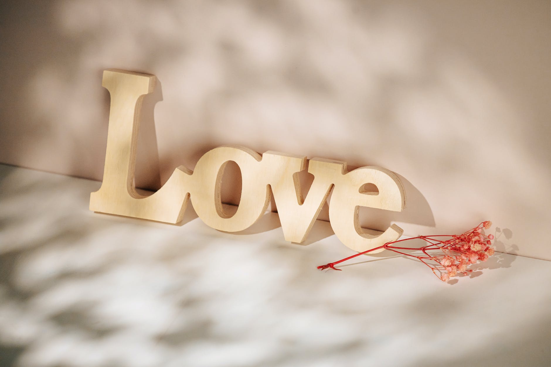 love sign and twig