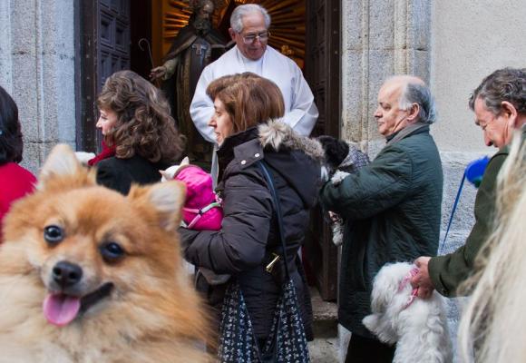 San Antón y los animales