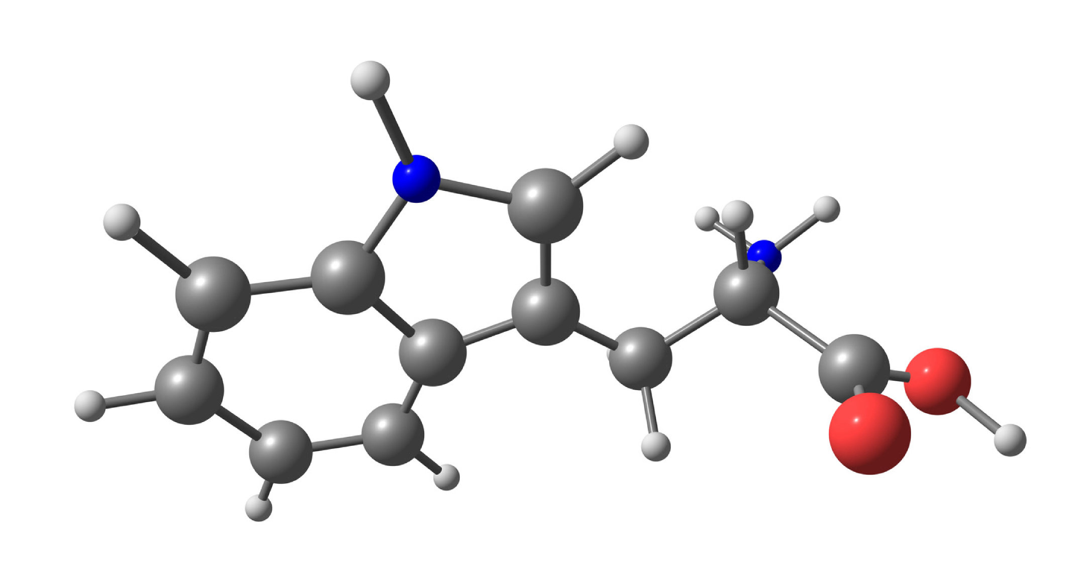 molecula de triptófano