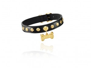 u1 Uggie, el perrito de The Artist en los Oscar y Chopard