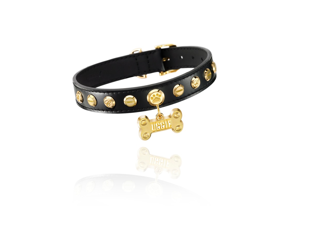 Uggie, el perrito de The Artist en los Oscar y Chopard