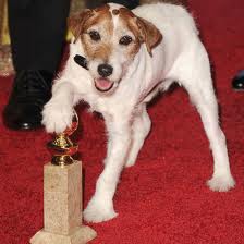 u22 Uggie, el perrito de The Artist en los Oscar y Chopard